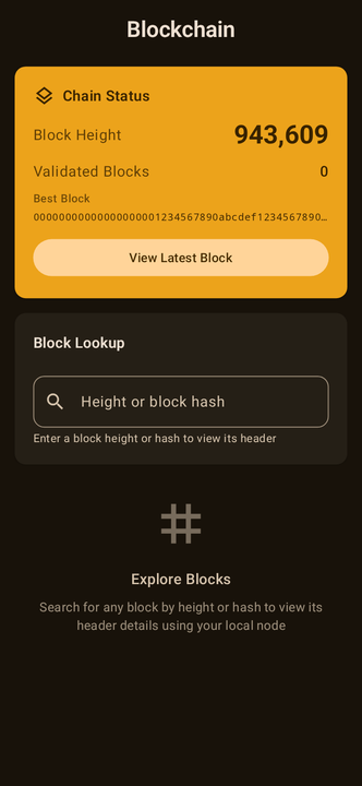 Mandacaru blockchain explorer screen